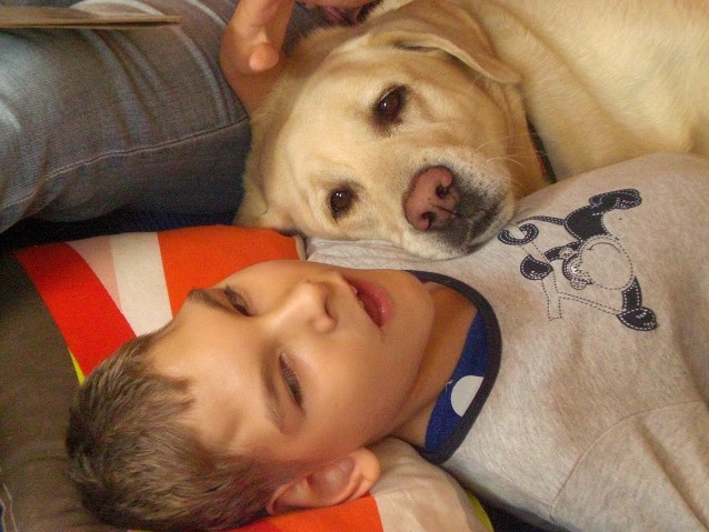 pies leży przy chłopcu z niepełnosprawnością