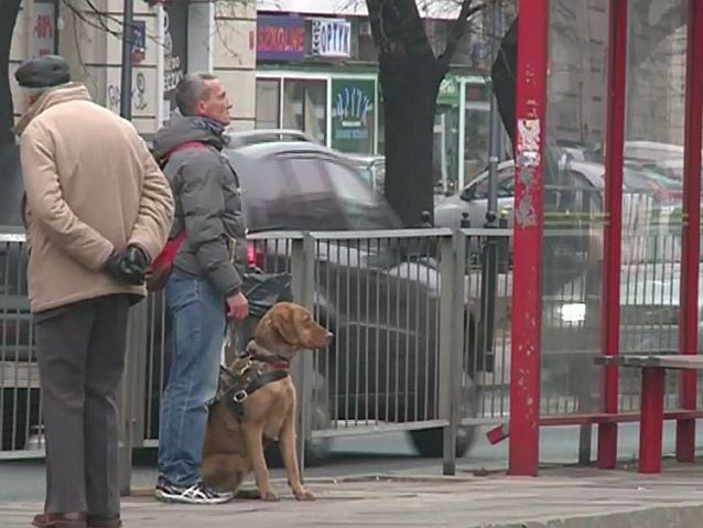Niewidomy mężczyzna z psem przewodnikiem stoi na przystanku