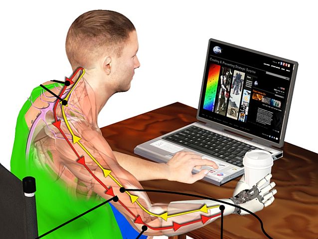 obrazek protezy haptix - przy laptopie siedzi mężczyzna, który za pomocą protezy trzyma kubek kawy