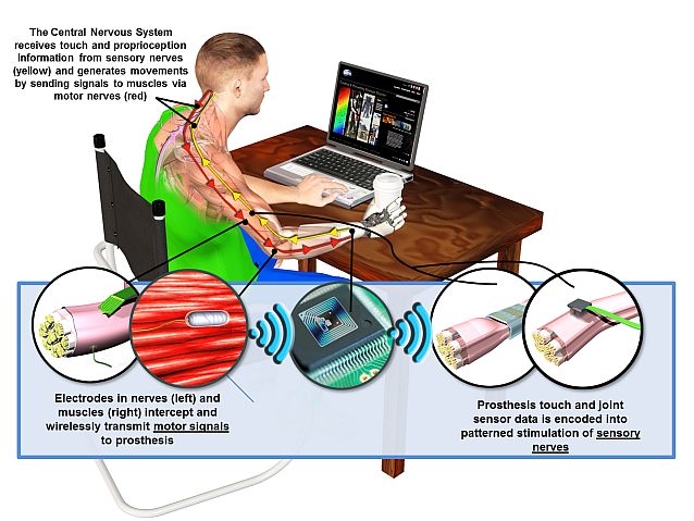 obrazek protezy haptix z opisem - przy laptopie siedzi mężczyzna, który za pomocą protezy trzyma kubek kawy