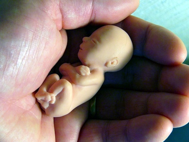 model 12-tygodniowego dziecka na dłoni