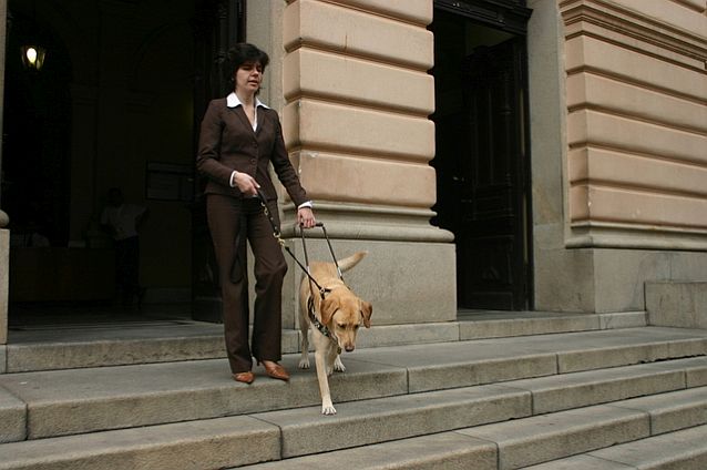 Kobieta schodzi po schodach z psem przewodnikiem