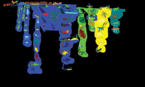 kolorowe plamy, na których są narysowane niektóre gatunki zwierząt, płazów, ryb, roślin