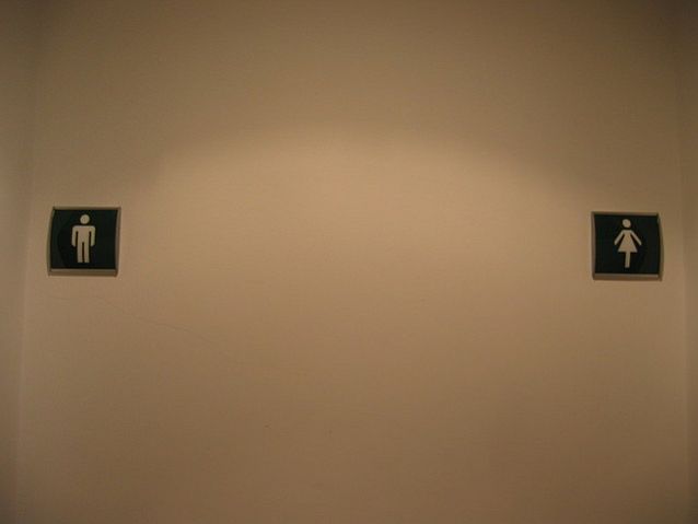 Tabliczki na ścianie oznaczające damską i męską toaletę