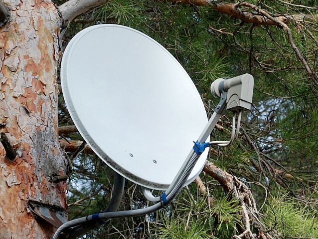 Wisząca na drzewie antena satelitarna