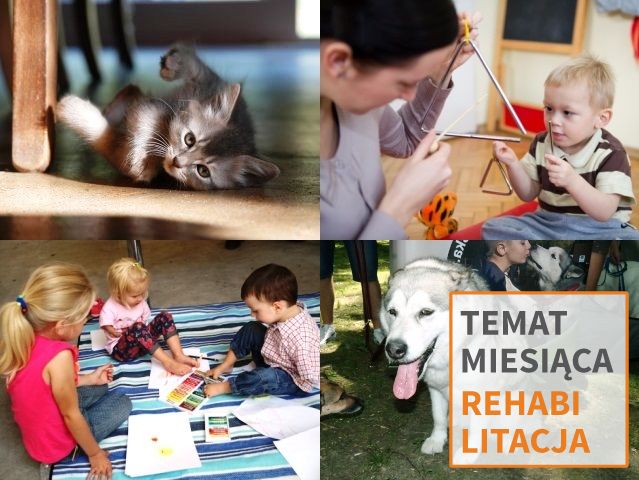 cztery zdjęcia: kot, pies terapeutyczny, dziecko na rehabilitacji i dzieci malujące nóżkami