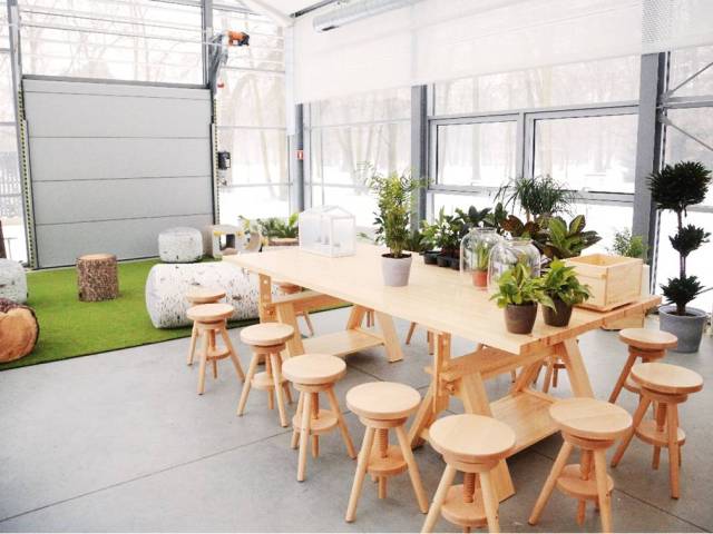 wnętrze Centrum Edukacji Ekologicznej - drewniany stół, krzesła, rośliny