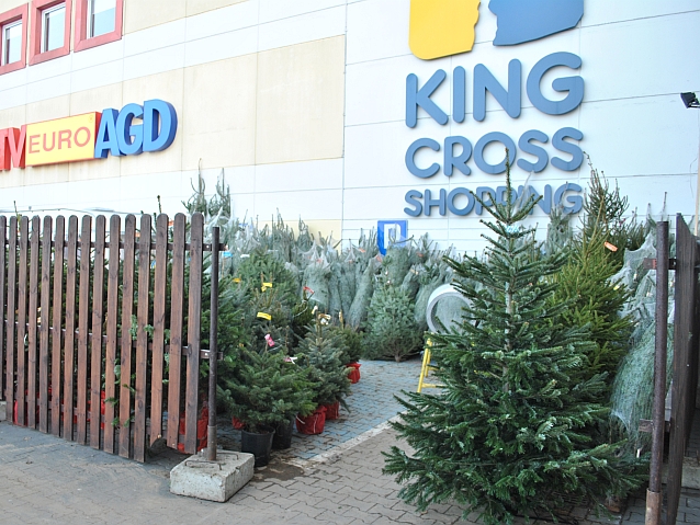 Niebieska koperta zastawiona choinkami, powyżej napis: King Cross Shopping