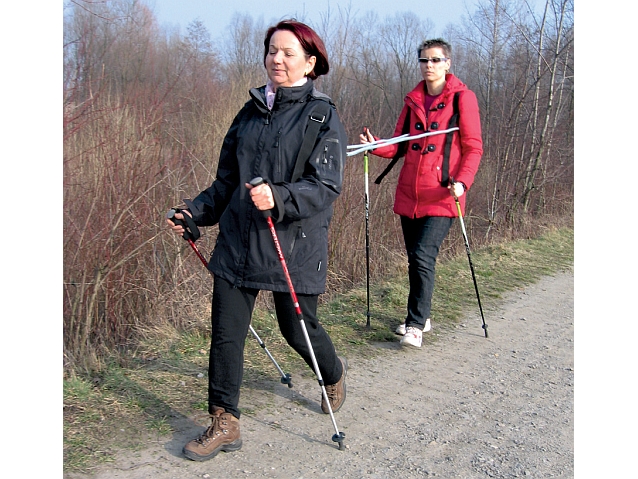 Dwie kobiety idą jedna za drugą z kijkami do nordic walking. Połączone są specjalną uprzężą