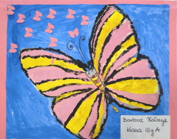 motyl różowo-żółty