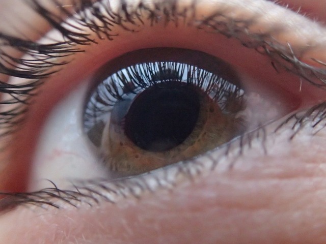 otwarte oko w kolorze brązowym widoczne rzęsy