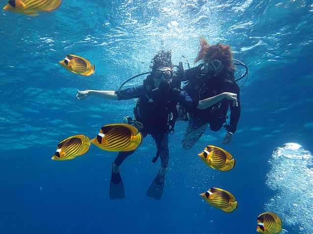 Dwie kobiety nurkują wśród egzotycznych żółtych ryb
