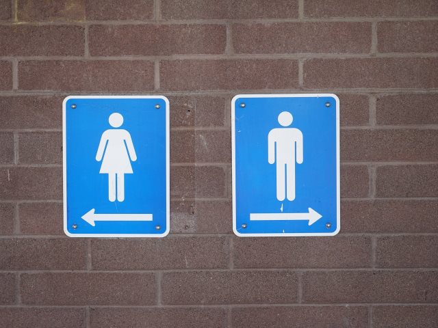 na murze niebieskie piktogramy z oznaczeniem damskiej i męskiej toalety i strzałkami w przeciwne strony