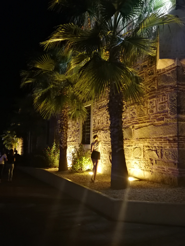 oświetlona ściana z palmami