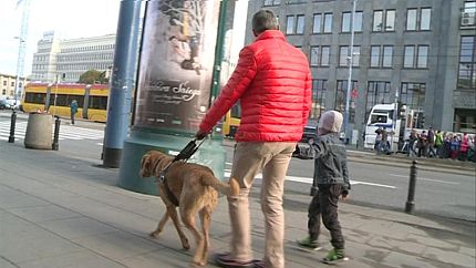 Osoba niewidoma idzie ulicą, trzymając za rękę dziecko, a w drugim ręku uprząż psa przewodnika