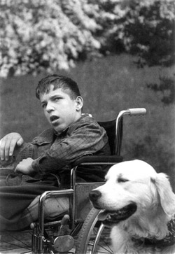 zdjęcie: chłopiec na wózku, towarzyszy mu pies