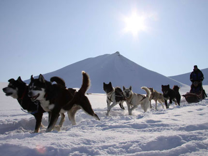 Na zdjęciu: psi zaprzęg wspierał podróżników podczas wyprawy, fot: Wojciech Ostrowski